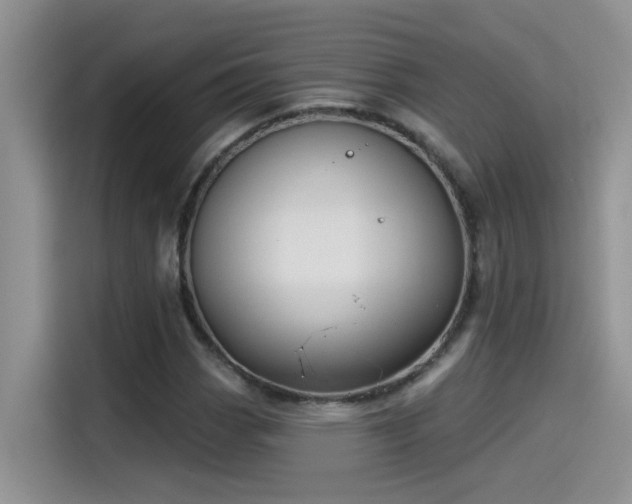 X0000115531113200911131500