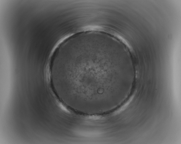 X0000115531117200911131500