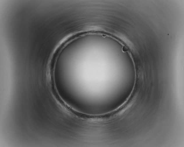 X0000115531118200911131500