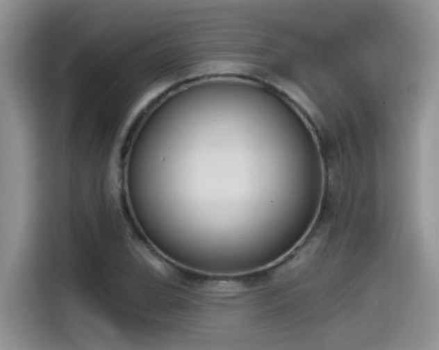 X0000115531119200911131500