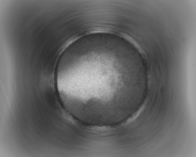 X0000115531121200911131500