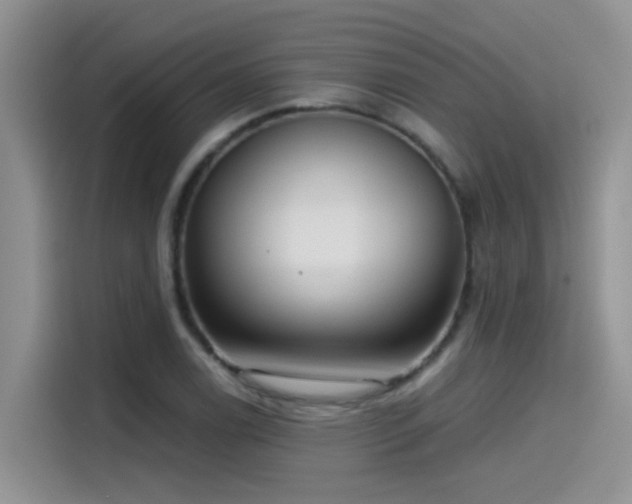 X0000115531122200911131500