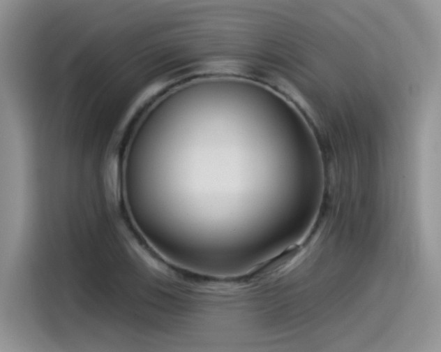 X0000115531123200911131500