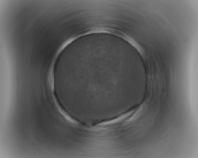 X0000115531127200911131500