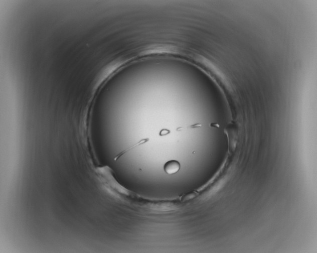 X0000115531129200911131500