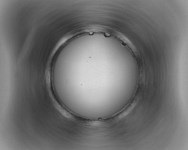 X0000115531130200911131500