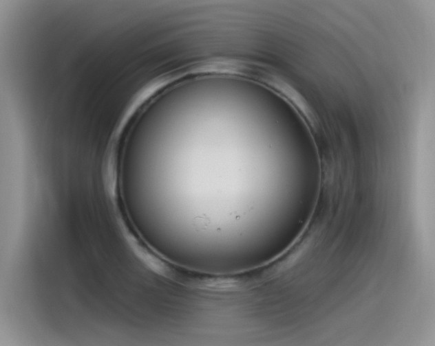 X0000115531131200911131500