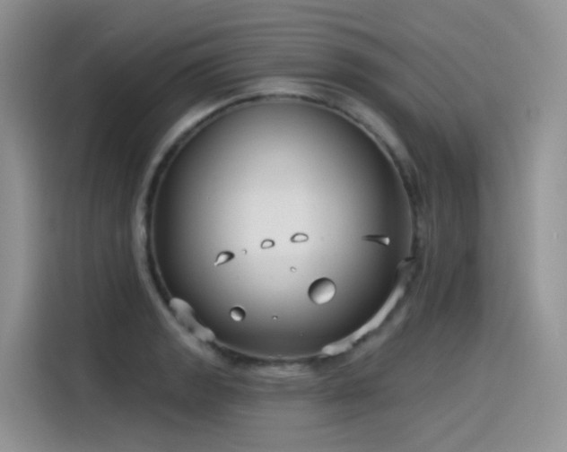 X0000115531133200911131500