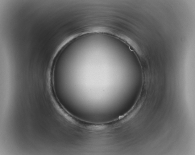 X0000115531134200911131500