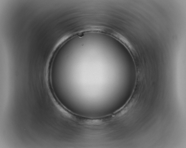 X0000115531135200911131500