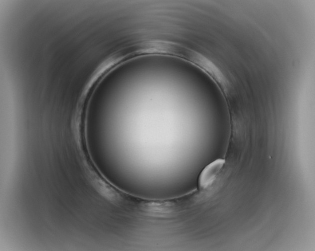 X0000115531138200911131500