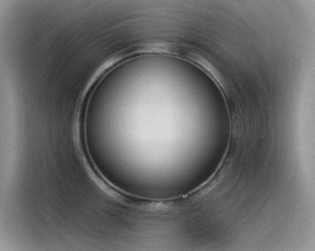 X0000115531139200911131500