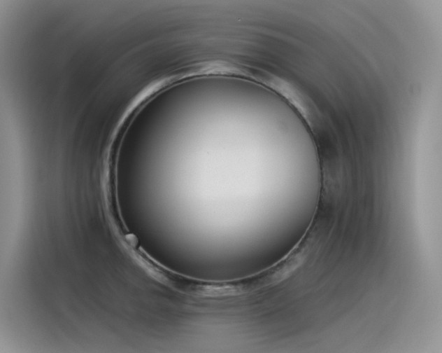 X0000115531142200911131500