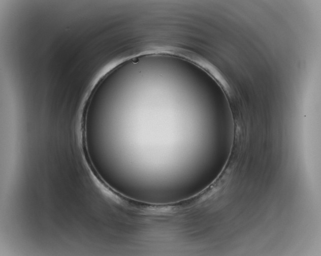 X0000115531143200911131500