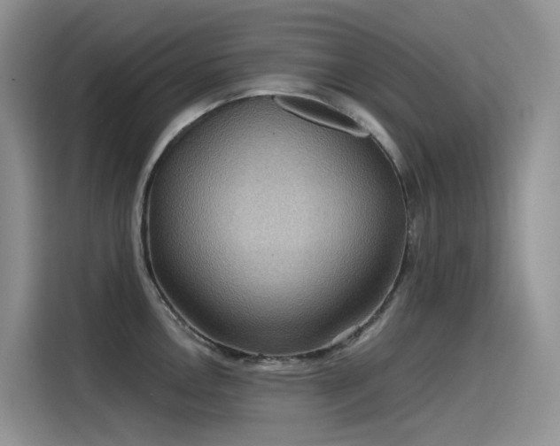 X0000115531146200911131500