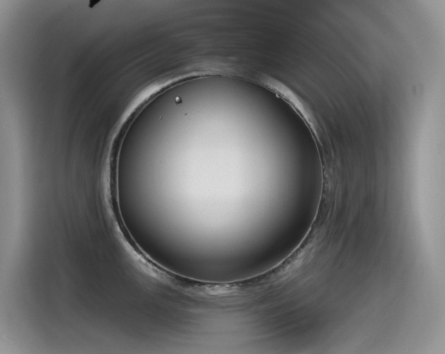 X0000115531147200911131500