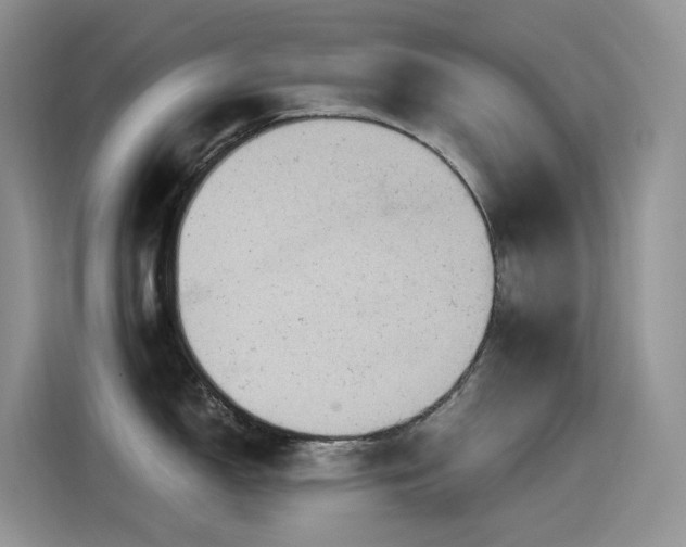 X0000115531150200911131500