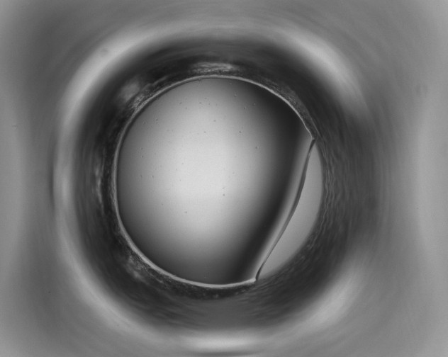 X0000115531151200911131500