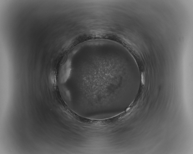 X0000115531155200911131459