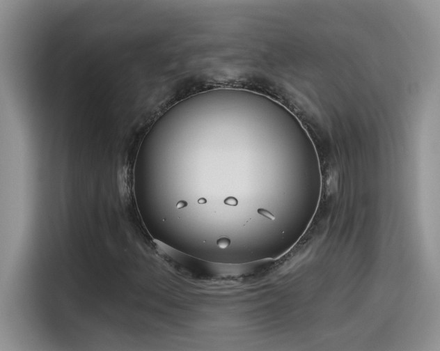 X0000115531156200911131459