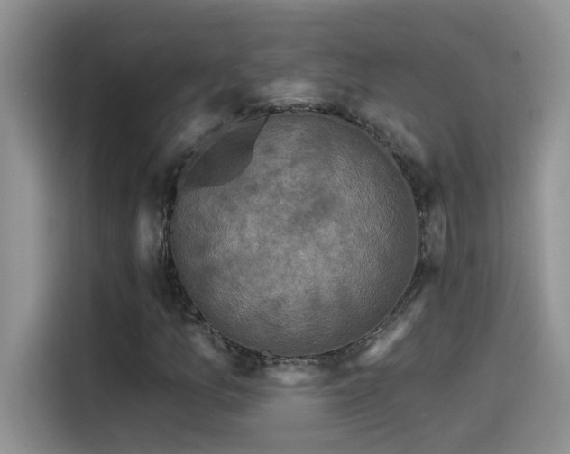 X0000115531157200911131459