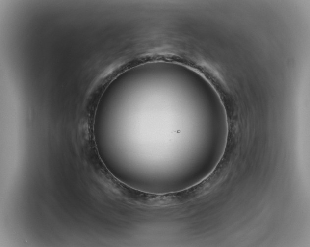 X0000115531159200911131459