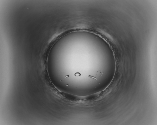 X0000115531160200911131459