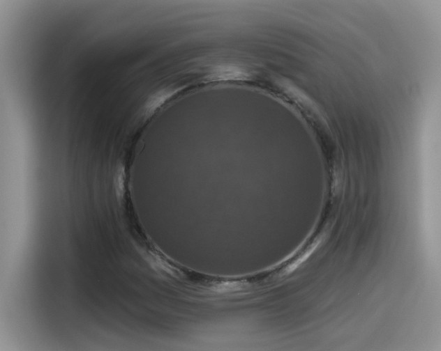 X0000115531161200911131459