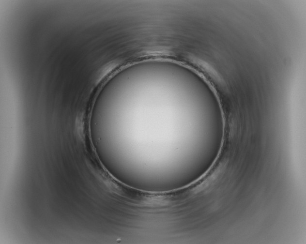 X0000115531162200911131459