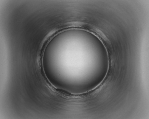 X0000115531164200911131459