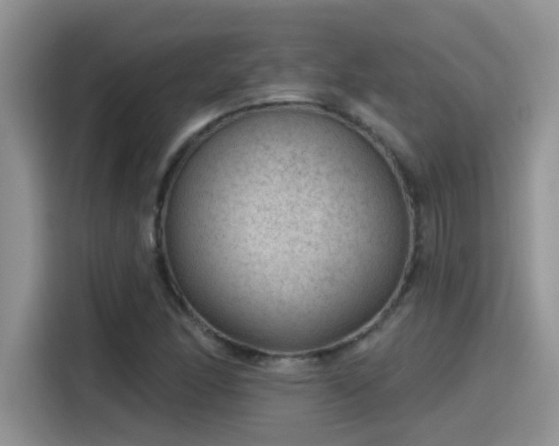 X0000115531166200911131459