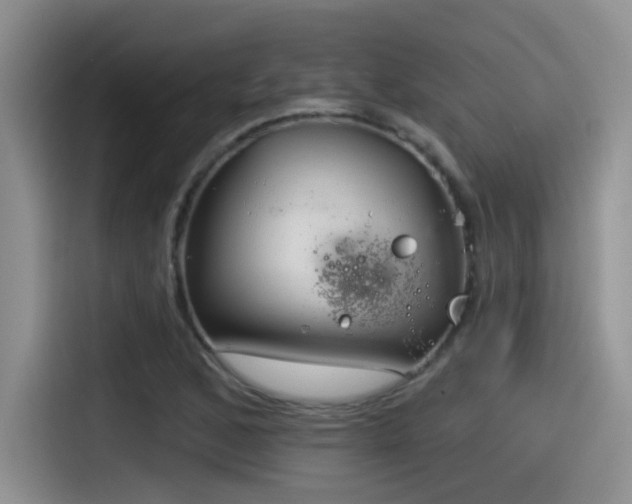 X0000115531168200911131459