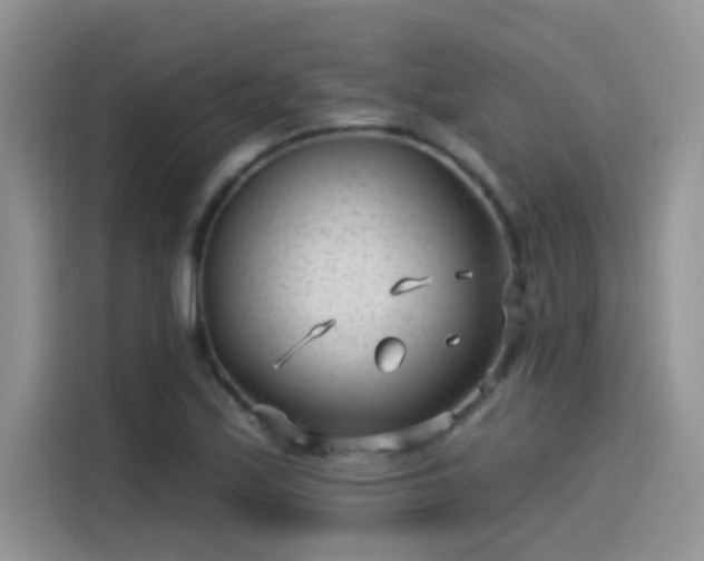 X0000115531171200911131459