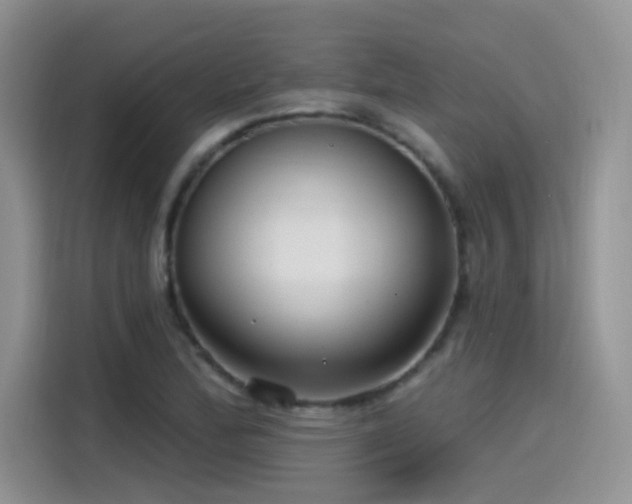 X0000115531172200911131459