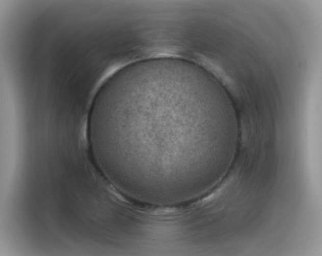 X0000115531174200911131459