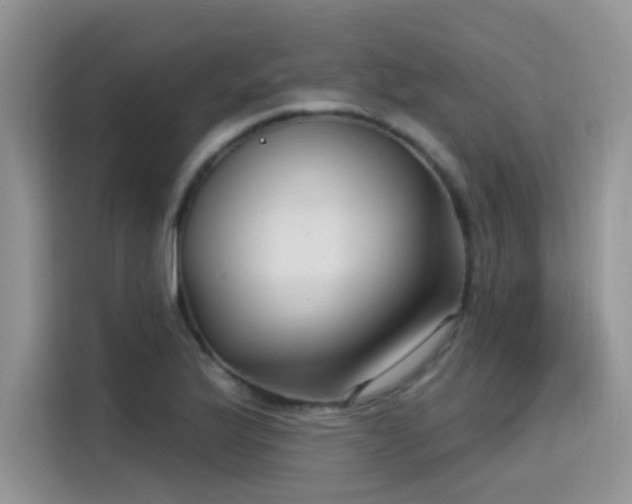 X0000115531175200911131459