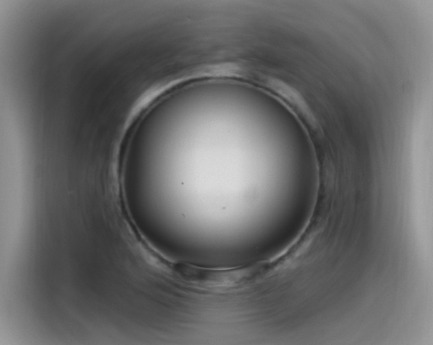 X0000115531176200911131459