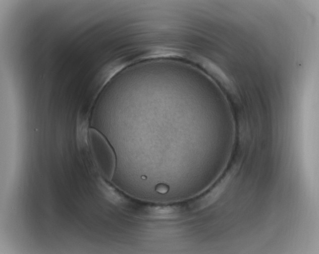 X0000115531177200911131459