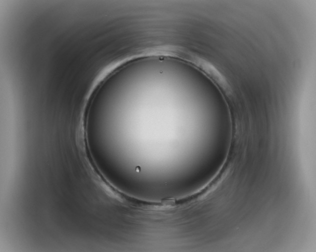 X0000115531184200911131459