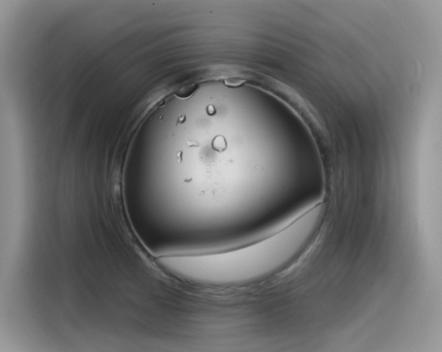 X0000115531185200911131459