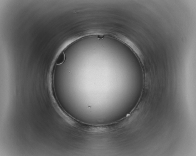 X0000115531187200911131459