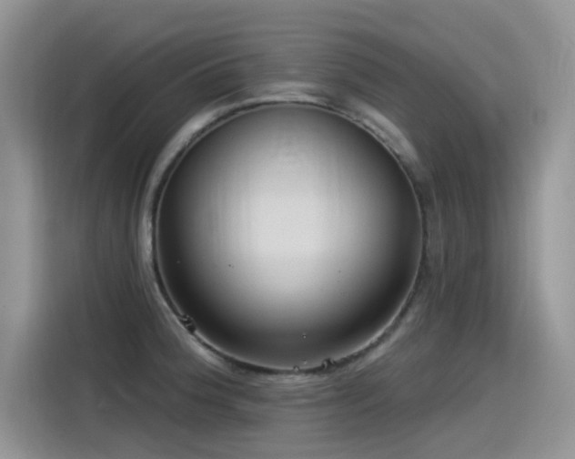 X0000115531188200911131459