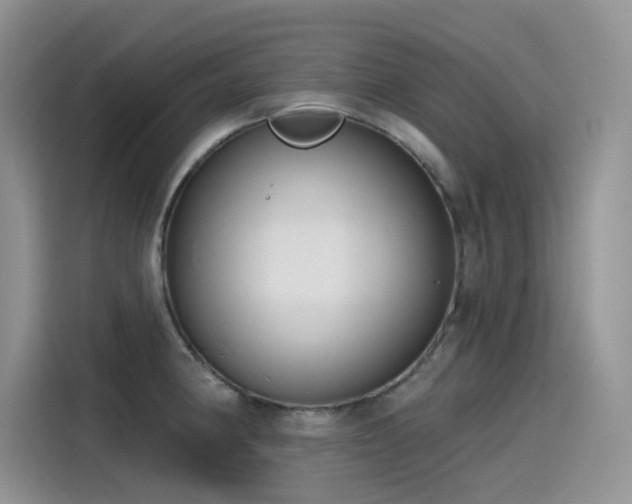 X0000115531190200911131459