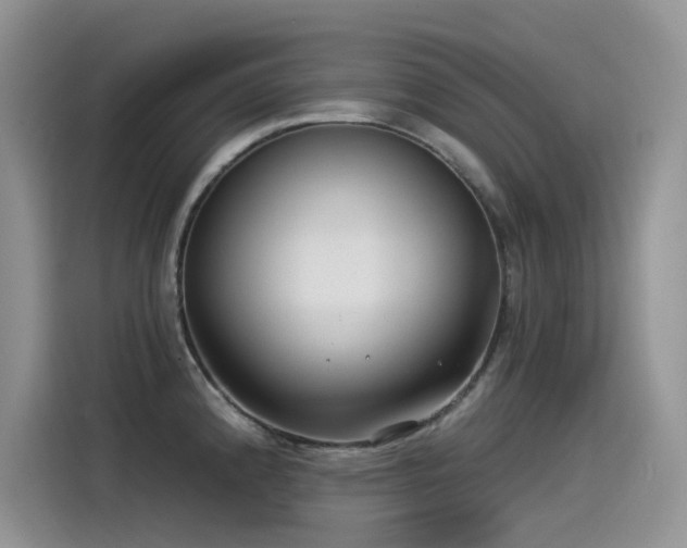 X0000115531192200911131459