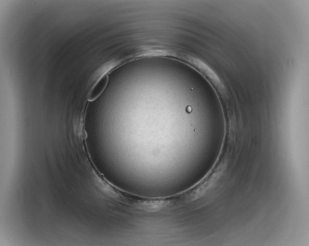 X0000115531193200911131459