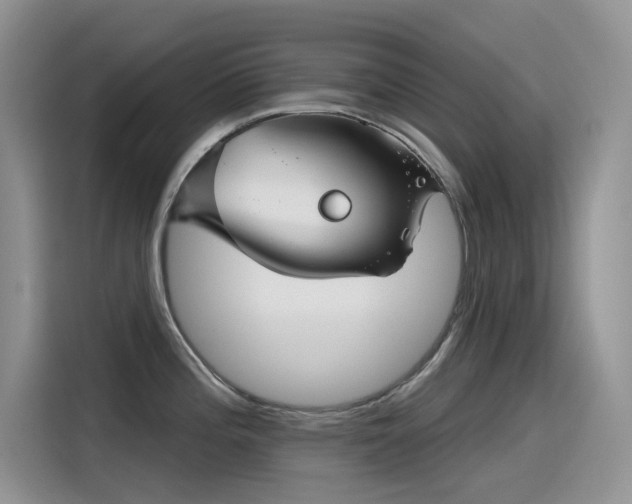 X0000115531196200911131459