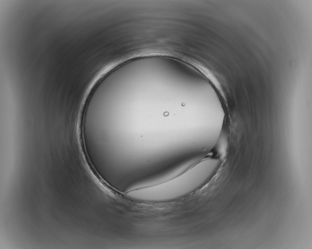 X0000115531197200911131459