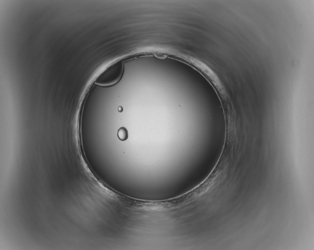 X0000115531199200911131459