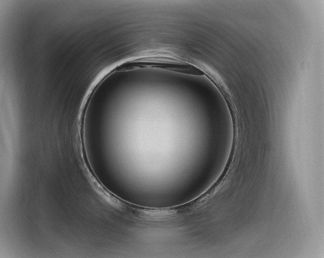 X0000115531200200911131459