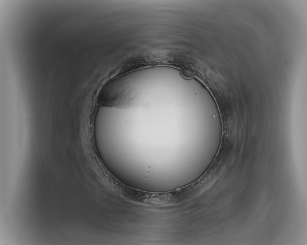 X0000115531201200911131458